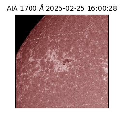 saia - 2025-02-25T16:00:28.720000