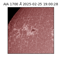 saia - 2025-02-25T19:00:28.749000