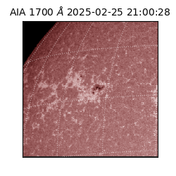 saia - 2025-02-25T21:00:28.717000