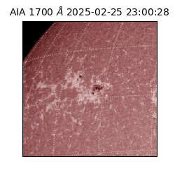 saia - 2025-02-25T23:00:28.717000