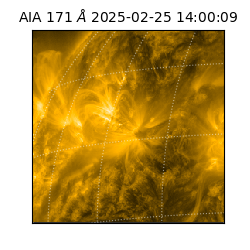 saia - 2025-02-25T14:00:09.350000