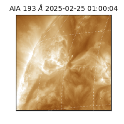 saia - 2025-02-25T01:00:04.846000