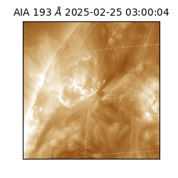 saia - 2025-02-25T03:00:04.846000