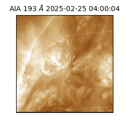 saia - 2025-02-25T04:00:04.846000