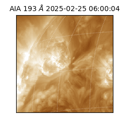 saia - 2025-02-25T06:00:04.835000