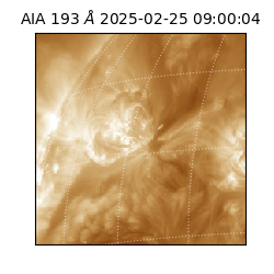 saia - 2025-02-25T09:00:04.843000