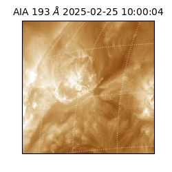 saia - 2025-02-25T10:00:04.843000