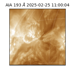 saia - 2025-02-25T11:00:04.843000