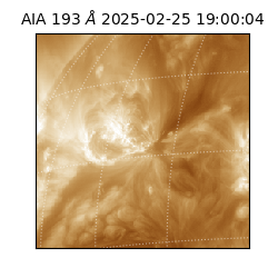 saia - 2025-02-25T19:00:04.843000