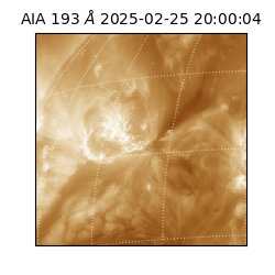 saia - 2025-02-25T20:00:04.843000
