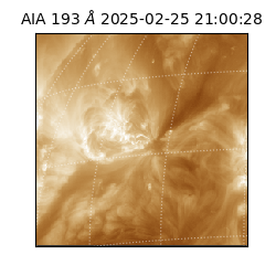 saia - 2025-02-25T21:00:28.843000