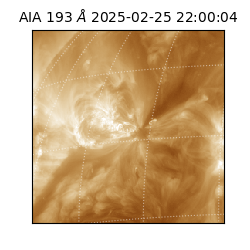 saia - 2025-02-25T22:00:04.843000