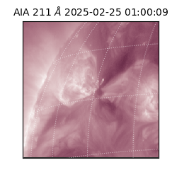 saia - 2025-02-25T01:00:09.626000