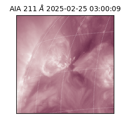 saia - 2025-02-25T03:00:09.631000