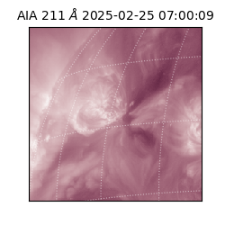 saia - 2025-02-25T07:00:09.626000