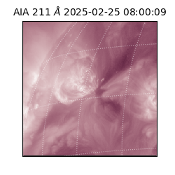 saia - 2025-02-25T08:00:09.632000