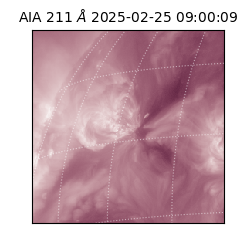 saia - 2025-02-25T09:00:09.626000