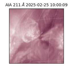 saia - 2025-02-25T10:00:09.626000