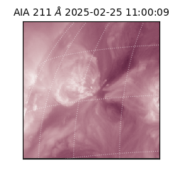 saia - 2025-02-25T11:00:09.630000