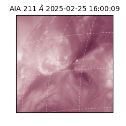 saia - 2025-02-25T16:00:09.632000