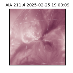 saia - 2025-02-25T19:00:09.625000