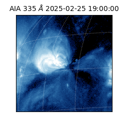 saia - 2025-02-25T19:00:00.618000