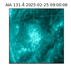 saia - 2025-02-25T09:00:06.622000