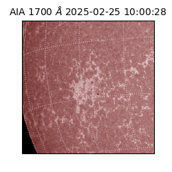 saia - 2025-02-25T10:00:28.721000