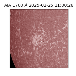 saia - 2025-02-25T11:00:28.717000