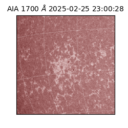 saia - 2025-02-25T23:00:28.717000