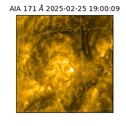 saia - 2025-02-25T19:00:09.350000