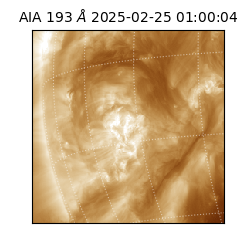 saia - 2025-02-25T01:00:04.846000