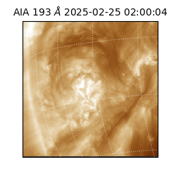 saia - 2025-02-25T02:00:04.846000