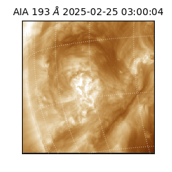 saia - 2025-02-25T03:00:04.846000