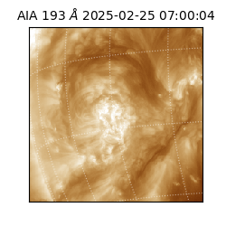 saia - 2025-02-25T07:00:04.844000