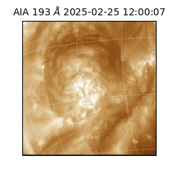 saia - 2025-02-25T12:00:07.151000