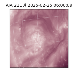 saia - 2025-02-25T06:00:09.618000