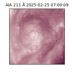 saia - 2025-02-25T07:00:09.626000