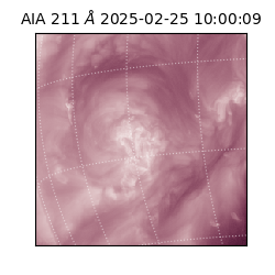 saia - 2025-02-25T10:00:09.626000