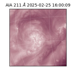 saia - 2025-02-25T16:00:09.632000