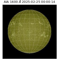 saia - 2025-02-25T00:00:14.133000
