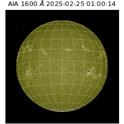 saia - 2025-02-25T01:00:14.126000