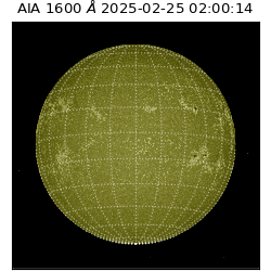 saia - 2025-02-25T02:00:14.126000