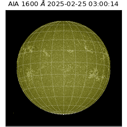 saia - 2025-02-25T03:00:14.126000