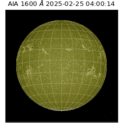 saia - 2025-02-25T04:00:14.125000