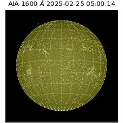 saia - 2025-02-25T05:00:14.126000
