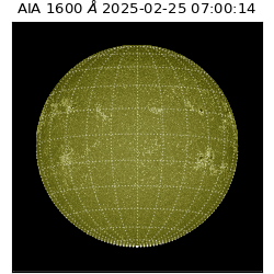saia - 2025-02-25T07:00:14.125000