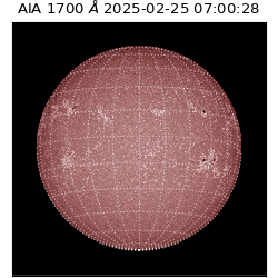 saia - 2025-02-25T07:00:28.717000