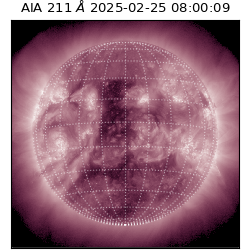 saia - 2025-02-25T08:00:09.632000