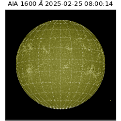 saia - 2025-02-25T08:00:14.125000